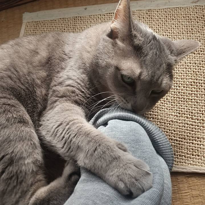 41ebe610 9d3b 40af 8870 54e0f0e068fa 1638151708992