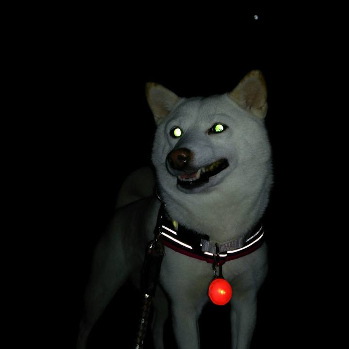 41ebf7d0 d8f6 4f31 a22e 228933071bf6 1545298639906