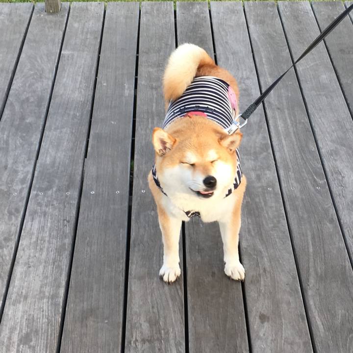 41ec0f02 5b93 41b3 ade7 ec0df53ba9ff 1526461657425