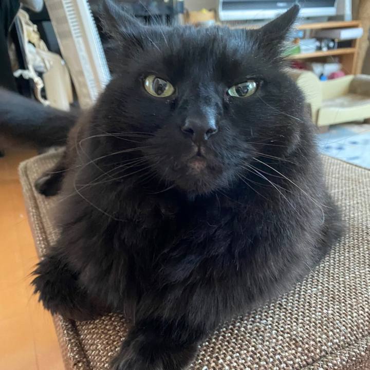 41ec34c4 3f6b 4fc8 8057 06ba1cedfebc 1605143356839