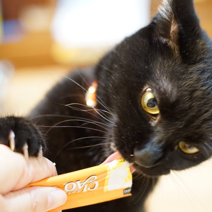 41ec6fd4 30a7 4e4f b8ab b2e55ef9e684 1530365823908