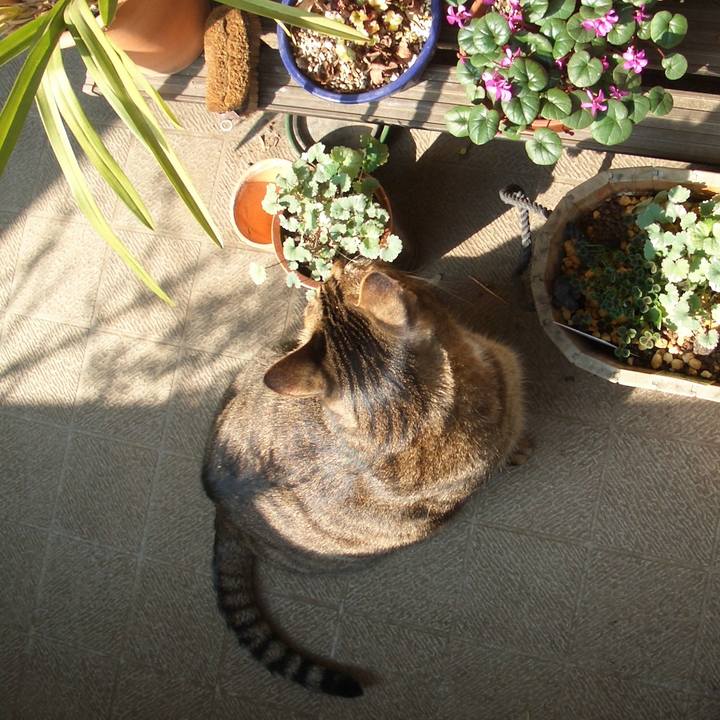 41ec7267 2933 4899 bc4f 5efed14aef66 1581080256961