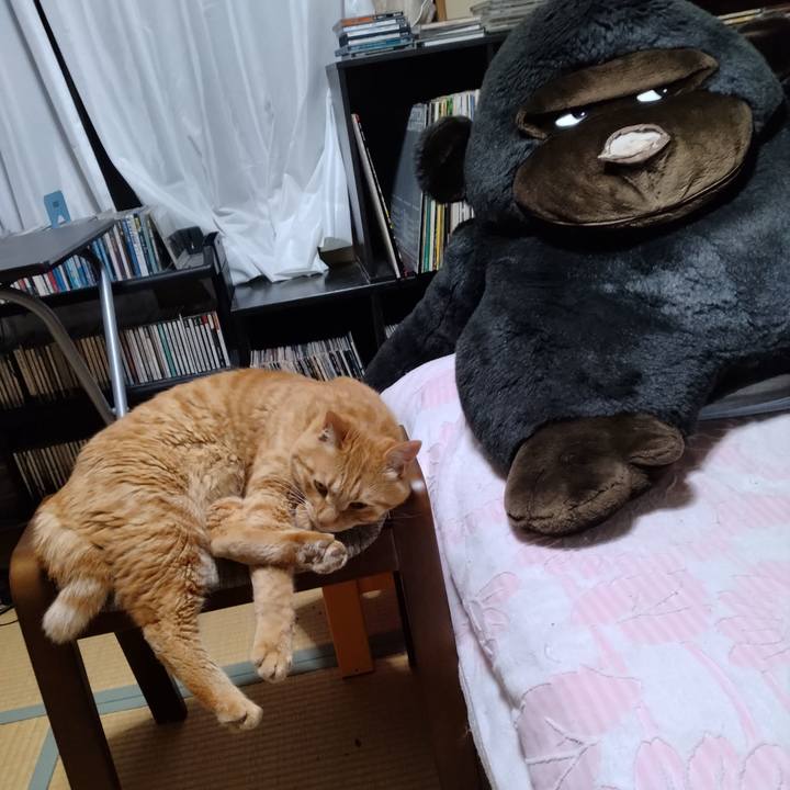 41ec73e6 4405 4169 91d7 48ed0811ce65 1687092248682