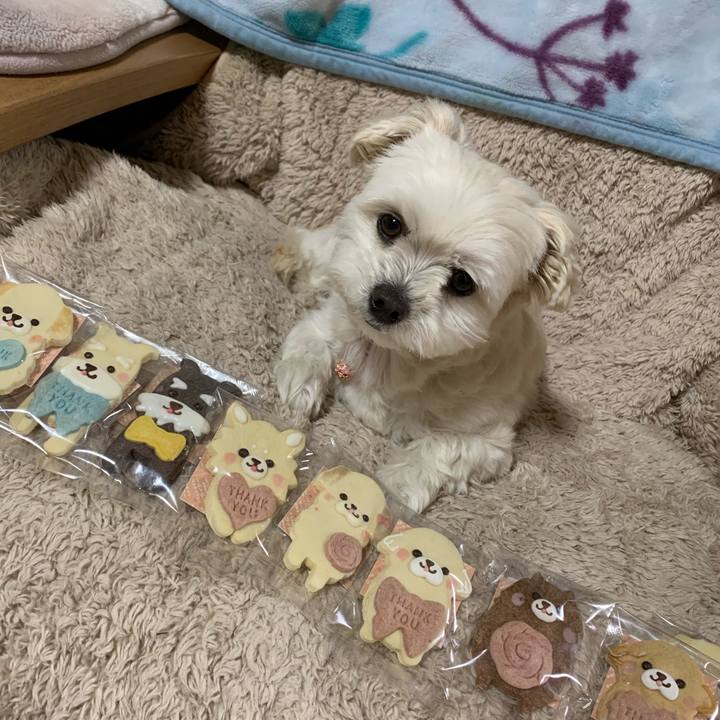 41eca0d4 ffaa 433c 96a5 fd069a5b2f4a 1581681180814