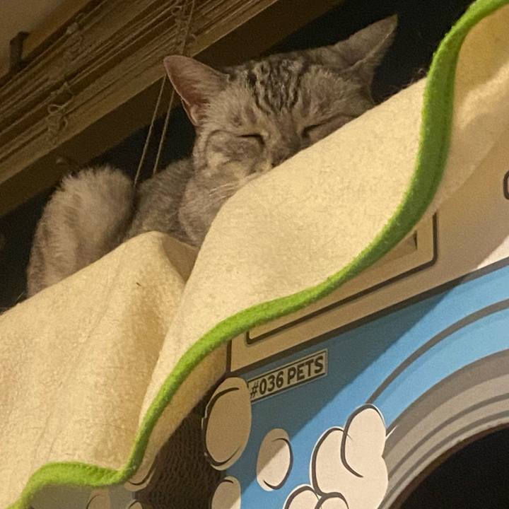 41ecaaa5 7917 46ab a8cf 72610559ea6b 1753286468143