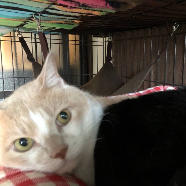 41ecd6be 6d78 49c8 b6a0 447ecb81d3e0 1508628723132