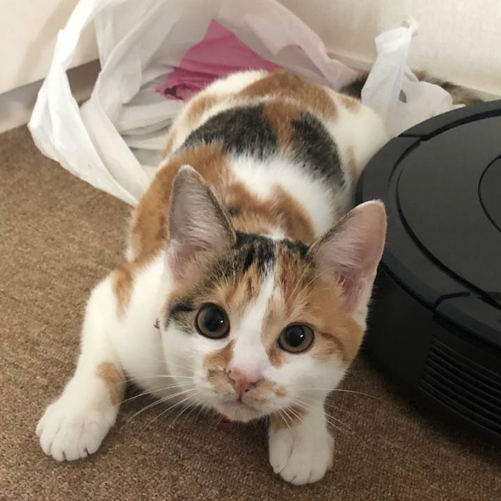 41ecef95 d61c 4fc5 be3b 3657e3bc86ef 1570750597123