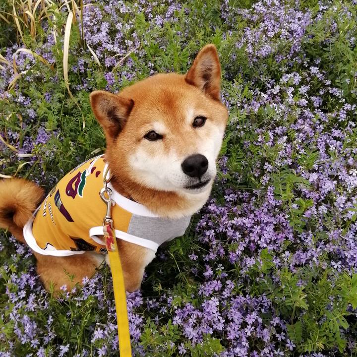 41ed0697 9a6a 416a 882f 11a1a0617f83 1618634116267