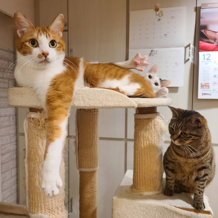 41ed3423 8b48 423e bf93 8ad60dc45b49 1702867595201