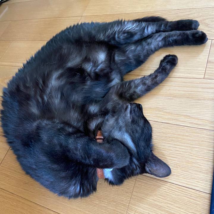 41ed3e17 be65 4935 9bfa c898b0e98879 1625096724341