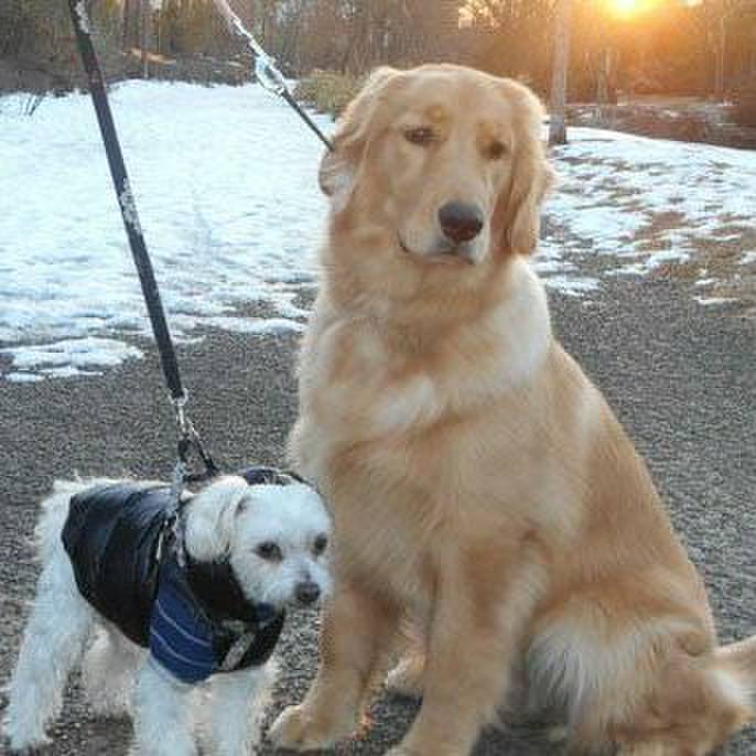 41ed3e9f e760 4e31 adc4 515e04a549b2 1520954349443