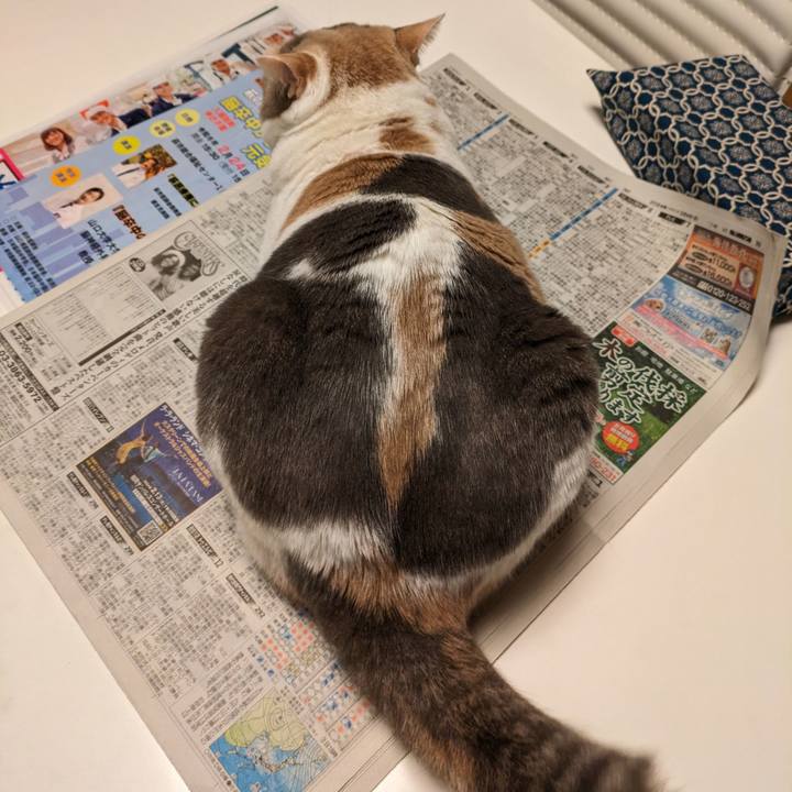 41ed48e8 1371 4836 b0e1 6ea5424cbdba 1708226965275