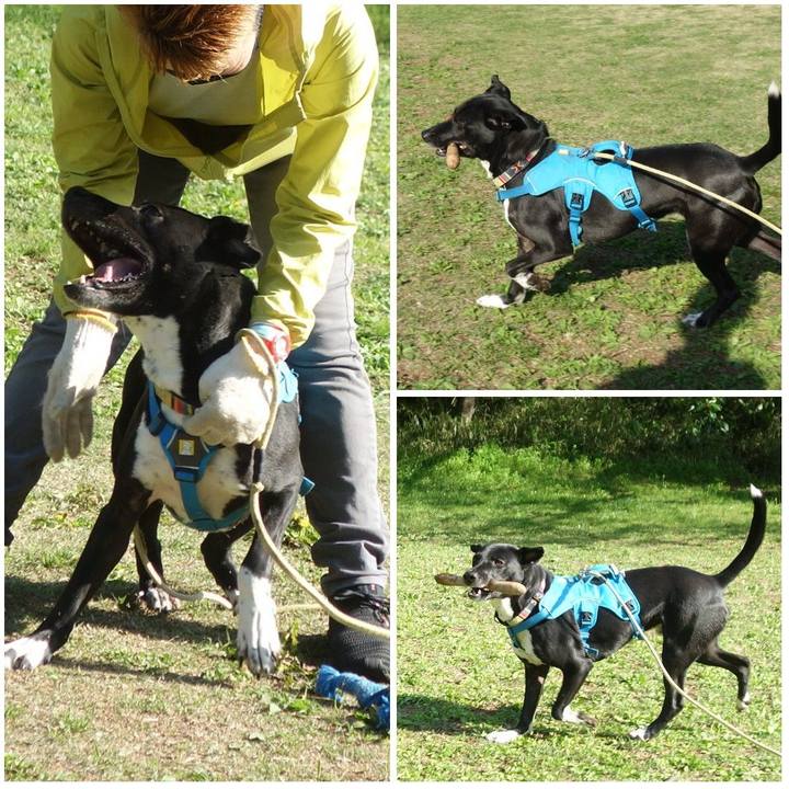 41ed60a2 b656 4a85 8c71 994fec182655 1618100693995