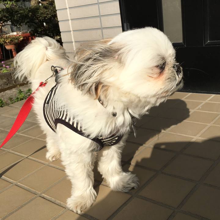 41ed6a50 5a4f 44eb 97db 9d2ac63e2bc3 1553154512044