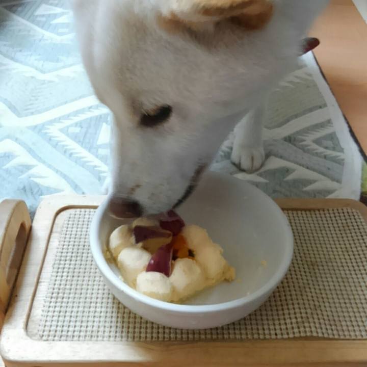 41ed7ef1 6bb0 42d1 a0ee c739bf864196 1521539018841