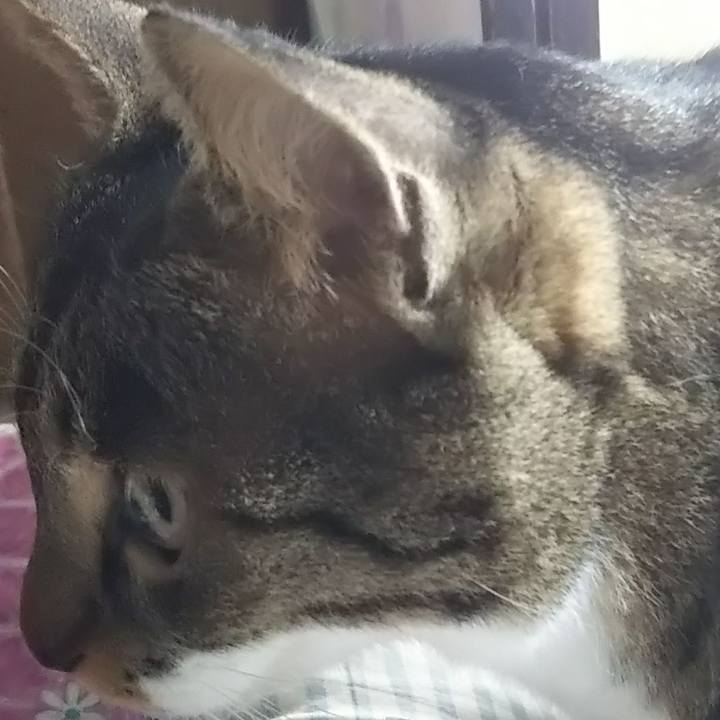 41ed93eb 5f52 4665 89bb 357a47588805 1603503246041