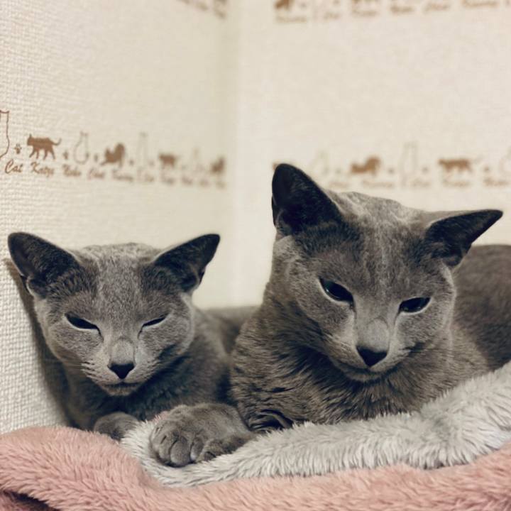 41ed9999 e8e3 4436 8afc 30aac04300e5 1646866611297