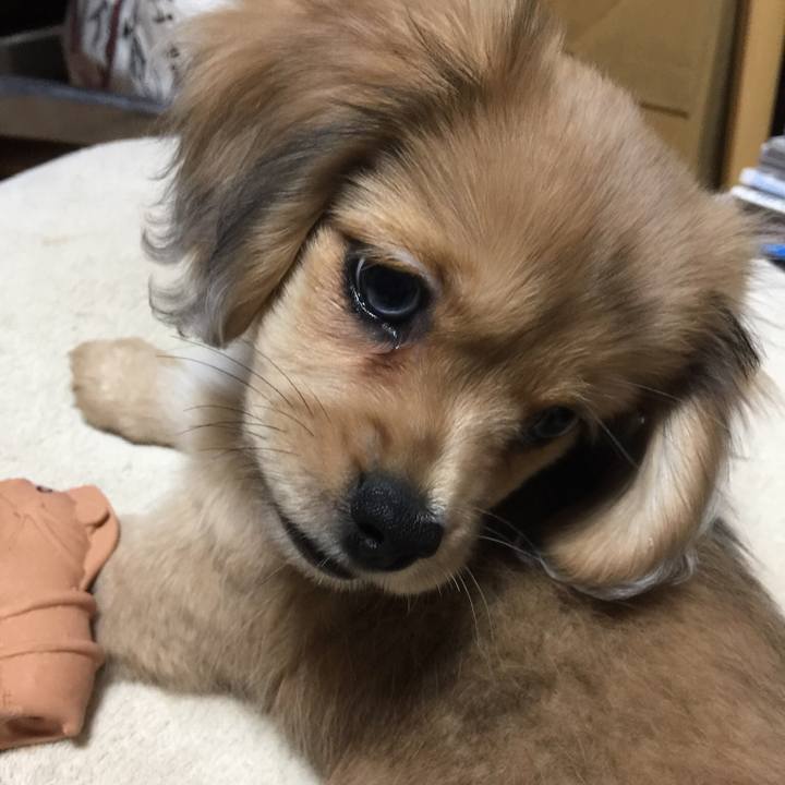 41ede7e3 fd1d 435e a406 4b95c1e863d0 1549579704214