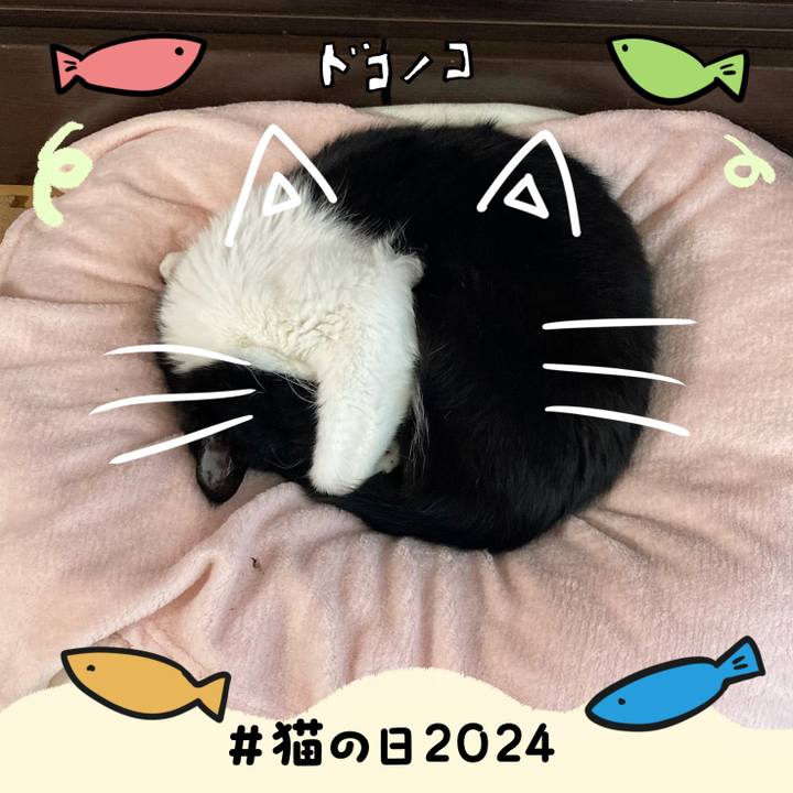 41edf6a8 67c7 443e 8fd7 ee4ddbc82f05 1708569929712