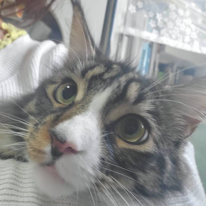 41ee11f8 cffa 43e4 8014 52022cc3837b 1688463718806