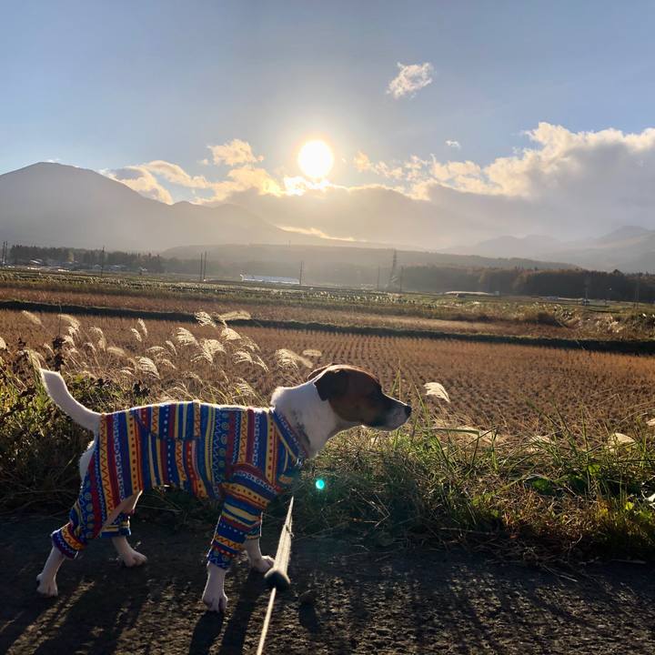 41ee156a 53bd 4328 9099 2f5ef692ed56 1573729260375