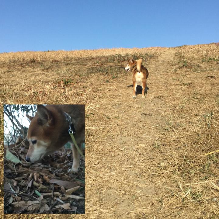 41ee61ee 8008 4e4b 8e3a d75ee02ac59d 1610009044815