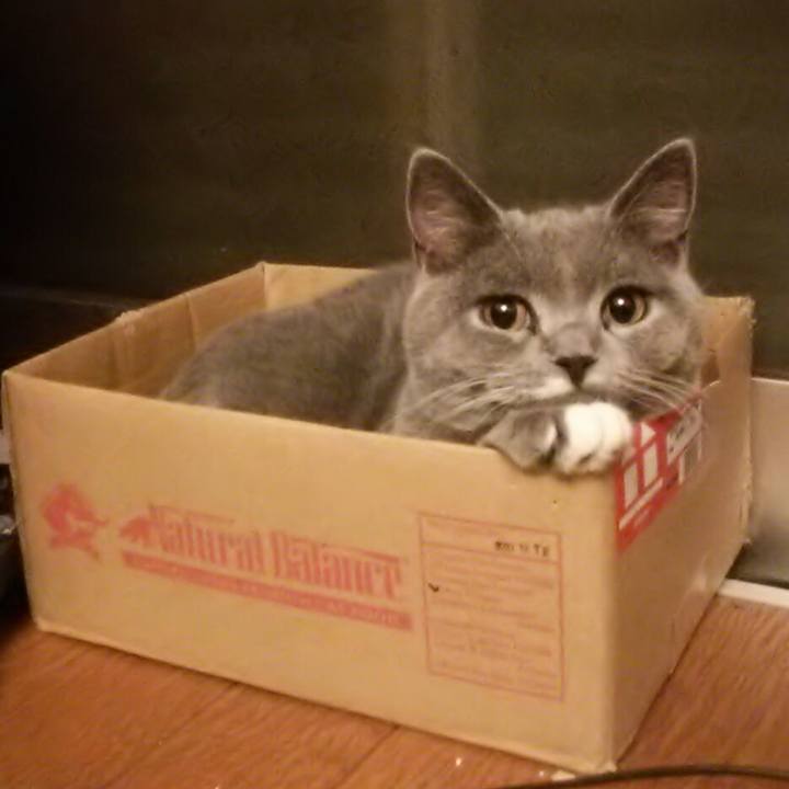 41ee9c83 b127 495a 84c9 2a70700af798 1541504303114