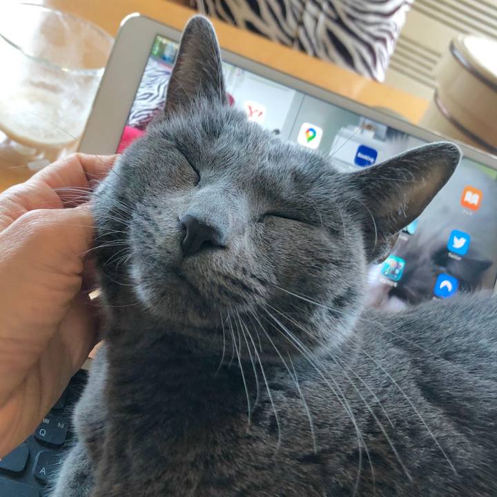 41ef13d9 f9cd 413b 99c7 49944c3a6000 1605665053240