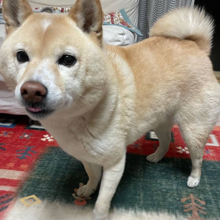 41ef22a6 a3ca 4646 8d73 2b3943b79526 1741007824165