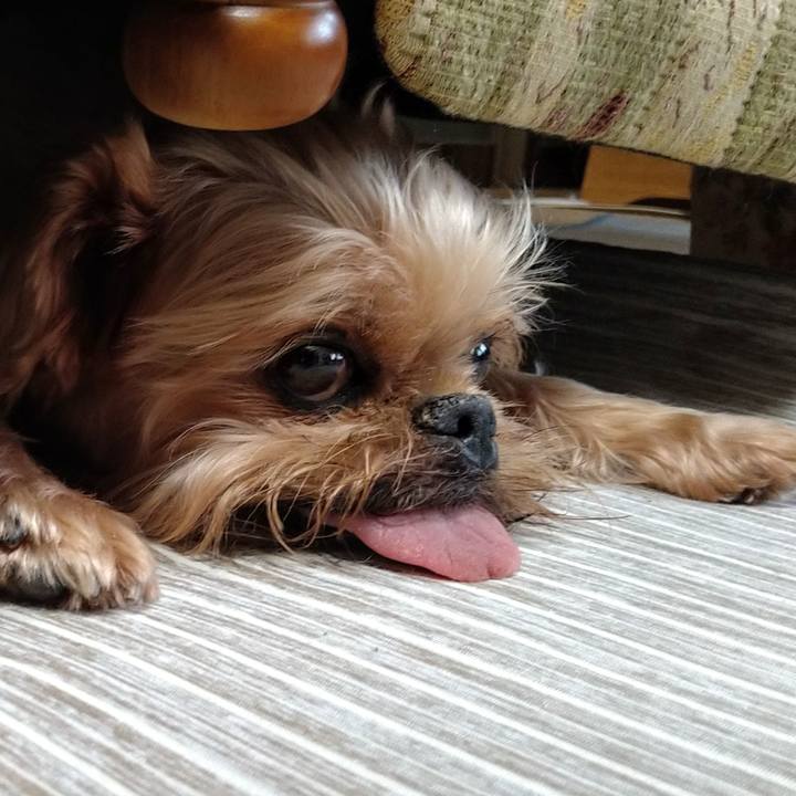 41ef42f0 da73 42b3 9c82 934f3f683098 1623729950991