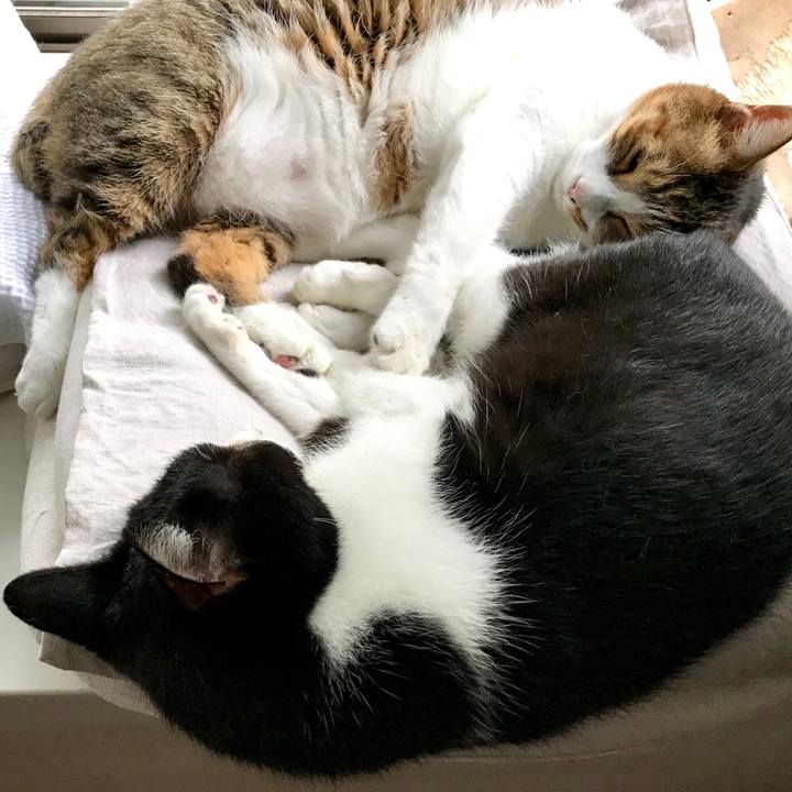 41ef5636 376f 4d0b a20f b8bcec837bef 1569977312769