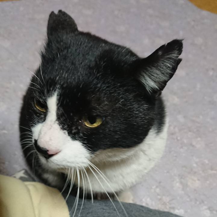 41ef5925 c966 441c a6ea dbb10cc89da0 1551081728248