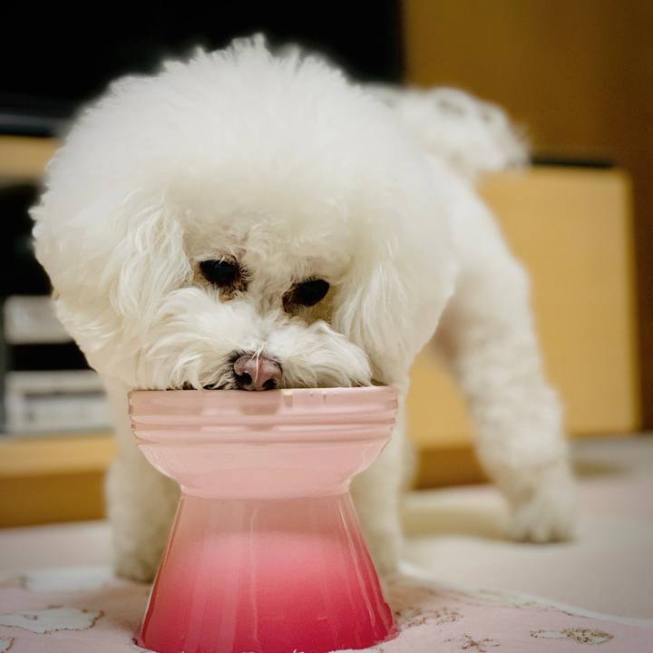 41ef7779 ca54 4ffa aa0b fc802d2aff30 1643625941325