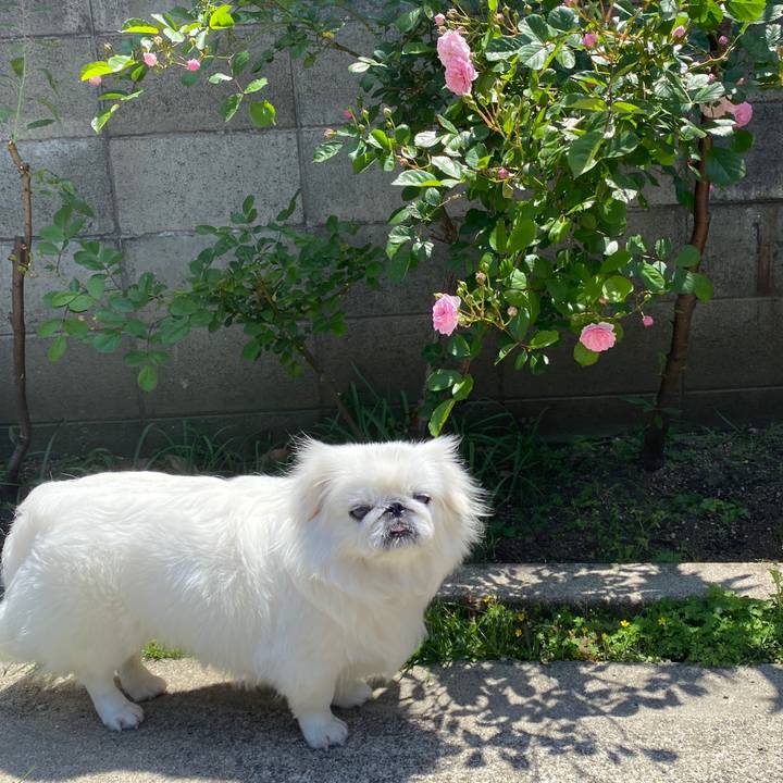 41ef8d42 f471 4e7a a17f 7c5cf2a4dc53 1589168414899