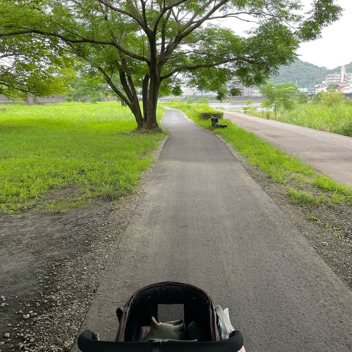 41efa3b2 bf9a 4e50 a994 ea026b89615c 1657781564205