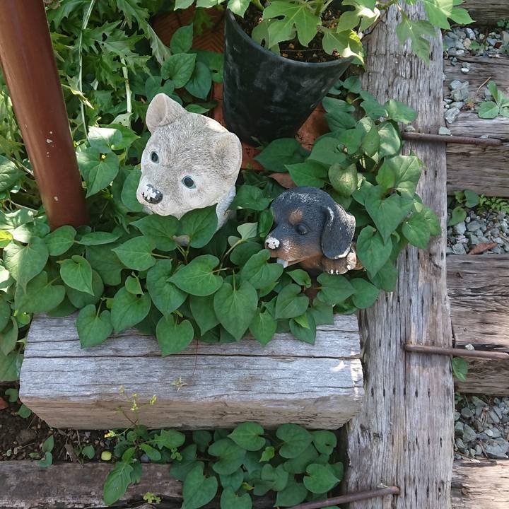 41efa6fe 83e7 4851 861e 6615ca0691bb 1566827603856