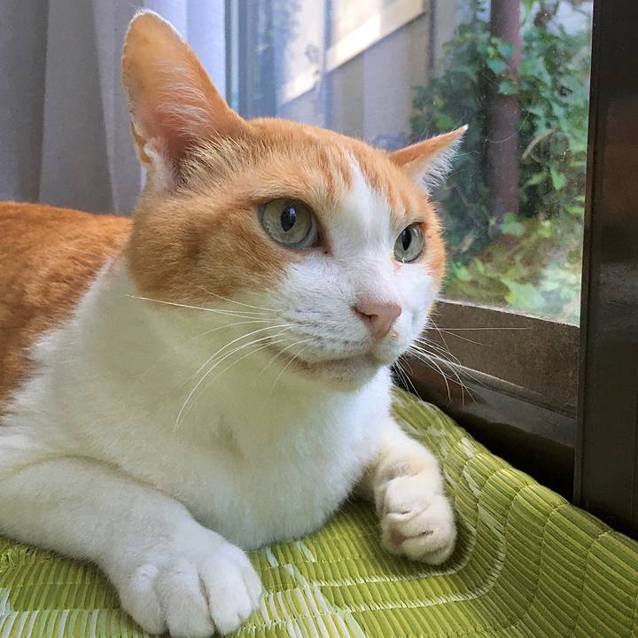 41efe0e1 9f2f 4dcf 9f22 4d309c5a7ba7 1598083045929