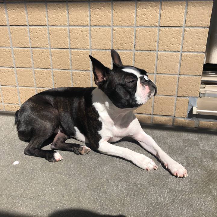 41f01e76 b84c 4670 b3c3 0ee8f6b3b0c1 1585835173108