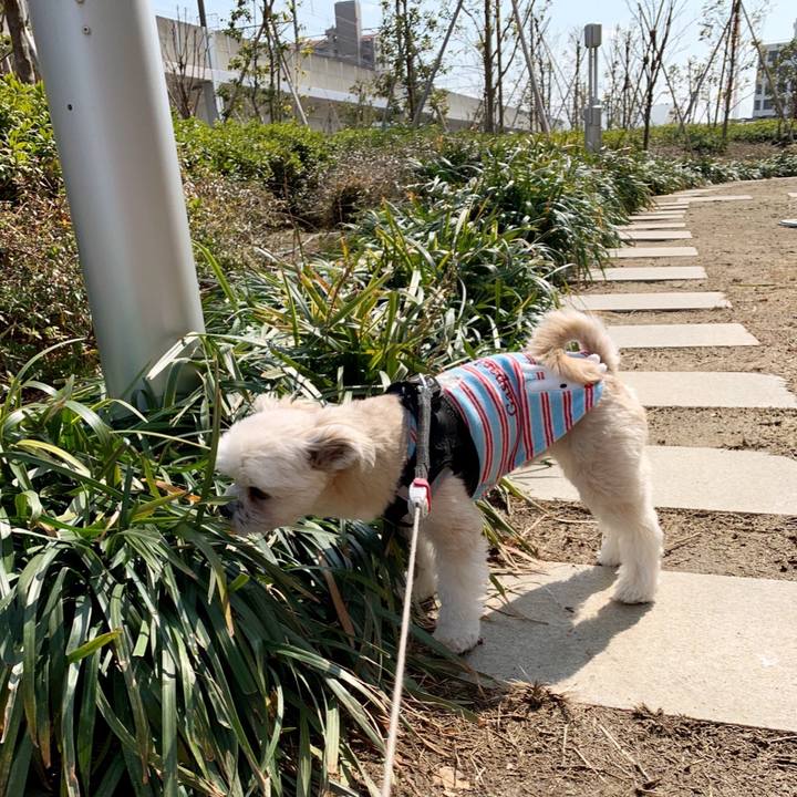 41f0304d 65f7 47c1 a7a9 2a568a569ca3 1551786968726