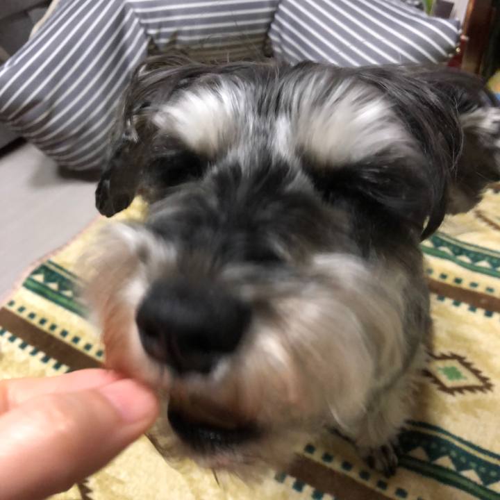 41f03e53 6b98 47df 919f 13c9df1d632a 1647176362837