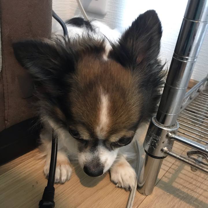 41f04f33 bebd 432b a242 edf6d0709a02 1596632548425