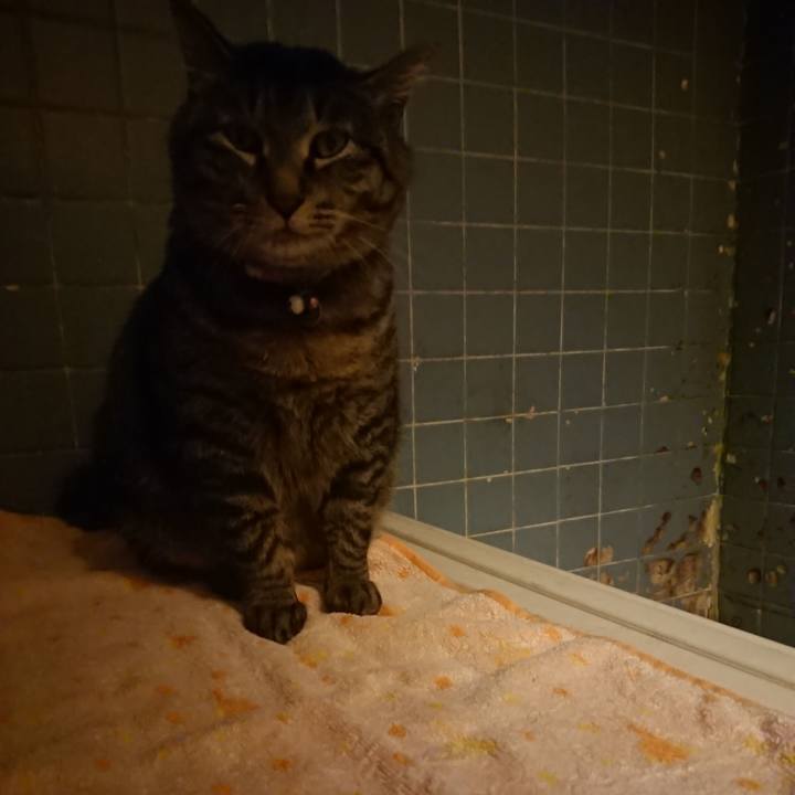 41f07aa1 723f 474d 8107 13a8dec69997 1648894500073