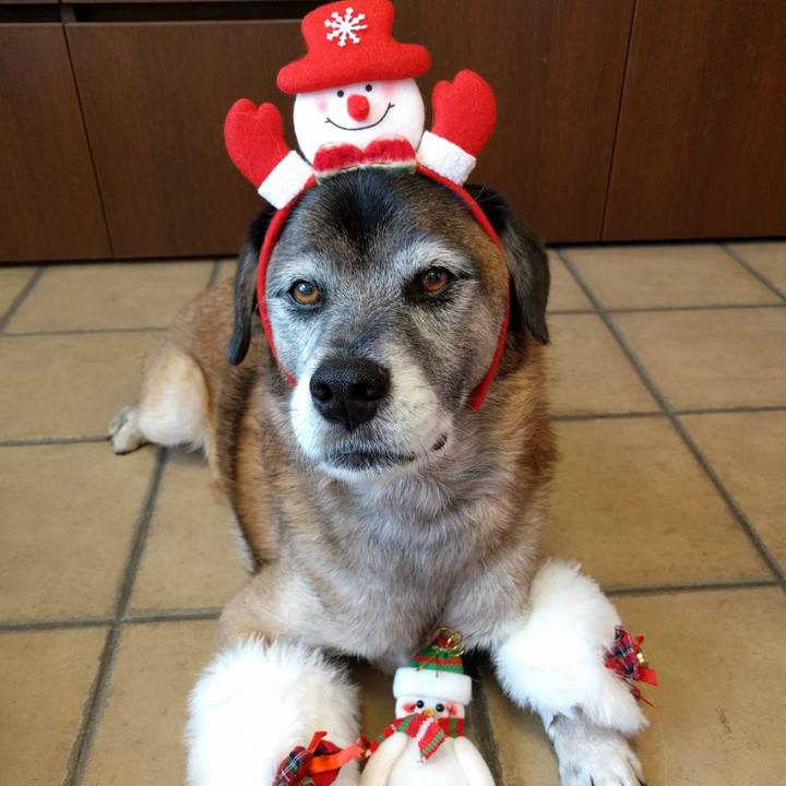 41f0bacc cde0 4b3b 8fd2 78504c04c21f 1513577012081