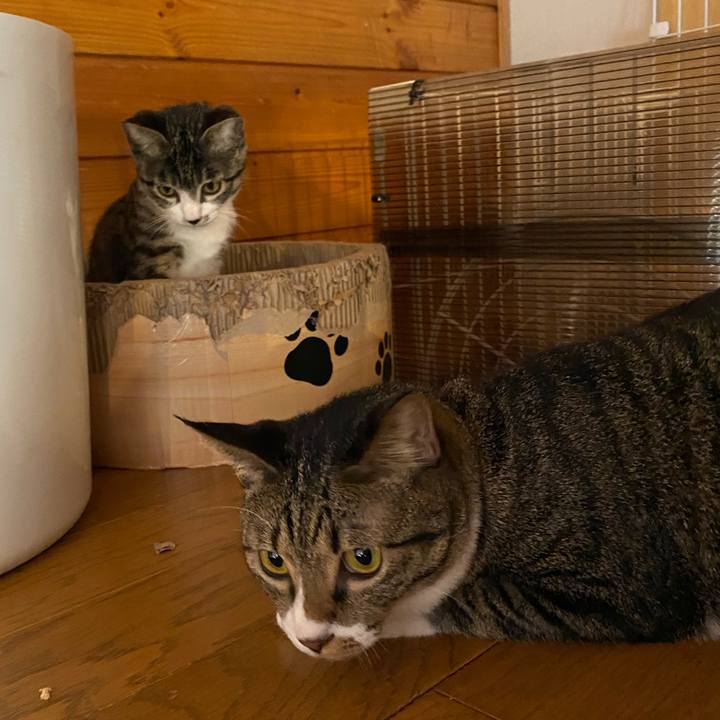 41f0bee2 e2db 4b70 b626 ecd17dc7bc77 1692247560536