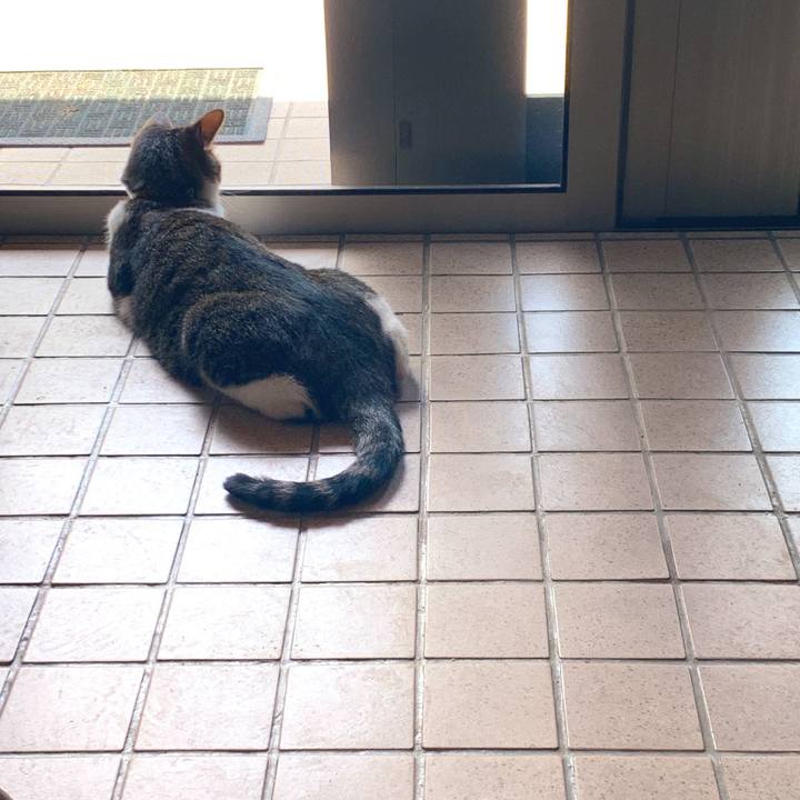 41f0ecb4 91ad 406a b04c 8954f23122bc 1565961229552