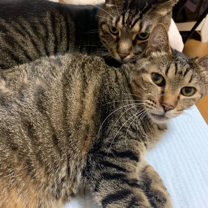 41f0f502 7ed7 44c9 979f c0aa1d44f405 1566050190334