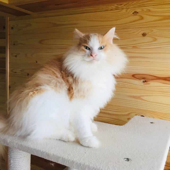 41f0f90e 57c2 4d41 a3e5 8702147884c6 1564611732700