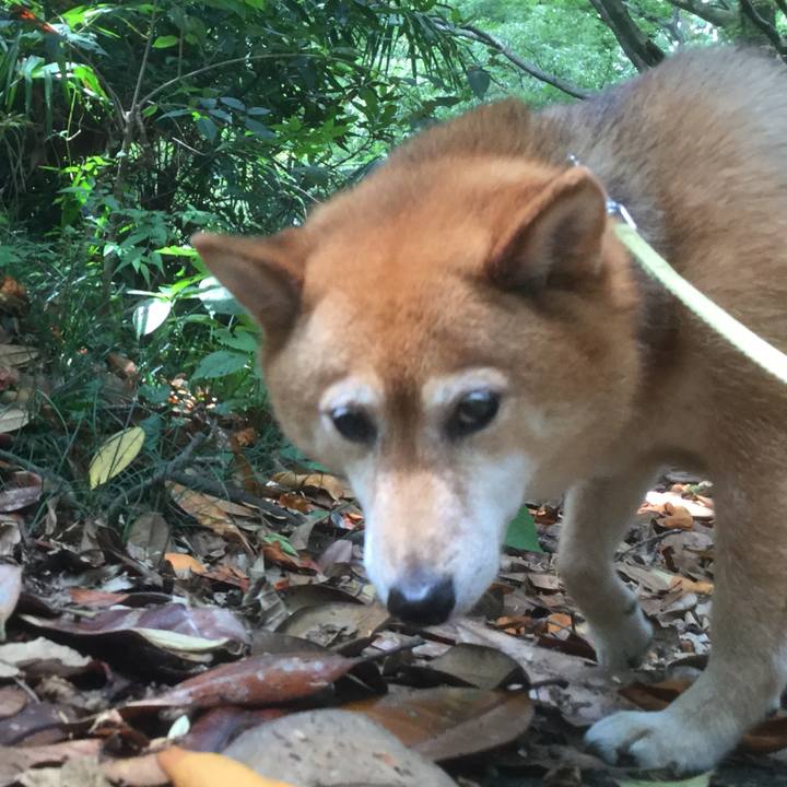 41f12995 d2aa 451e ac07 485be3ef2df3 1560492079475