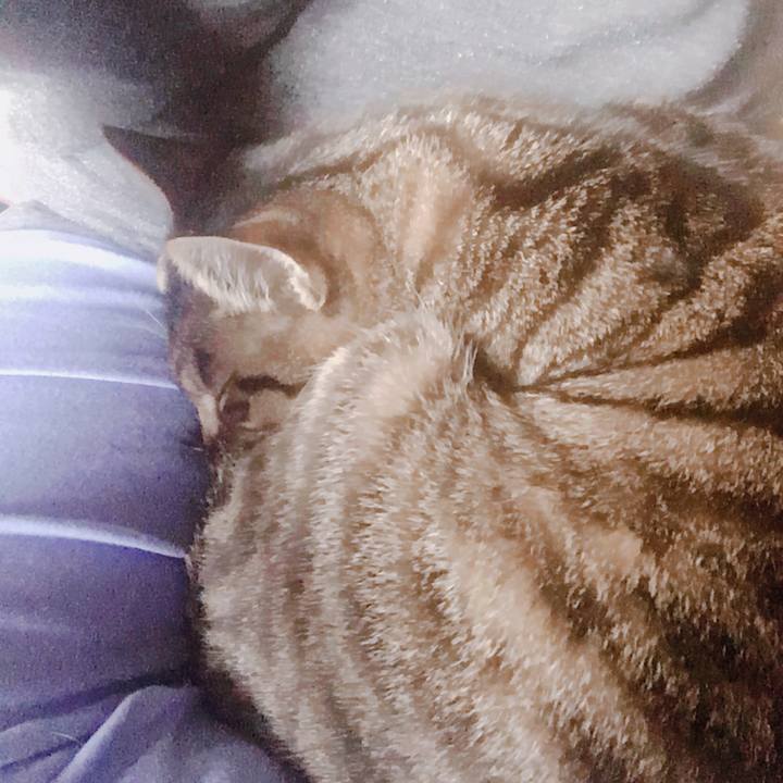 41f17e5a ed6b 4b3e 86d7 58467c627d09 1550726303707