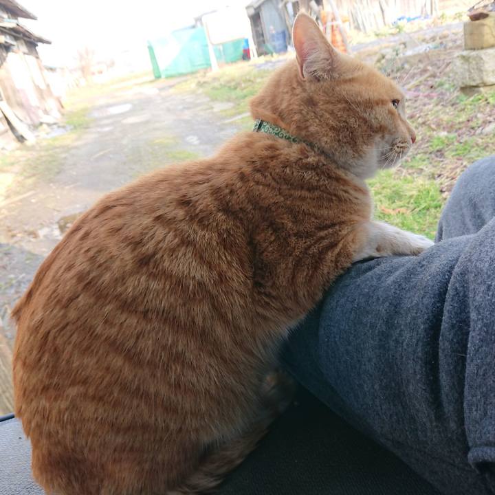 41f18128 53bd 4465 b854 212519937805 1581750109674